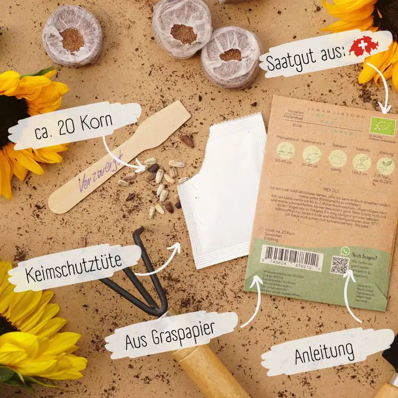Bio Sonnenblume Verzweigt Samen was unsere Saatgut ausmacht
