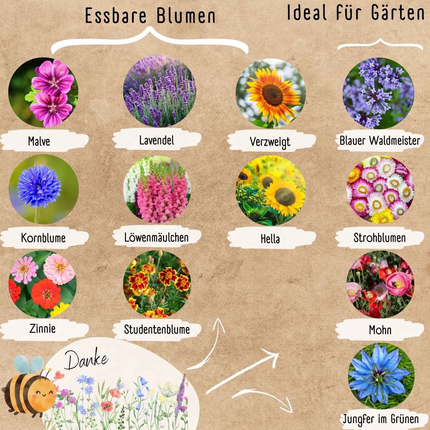Blumenwunder Samen Sets