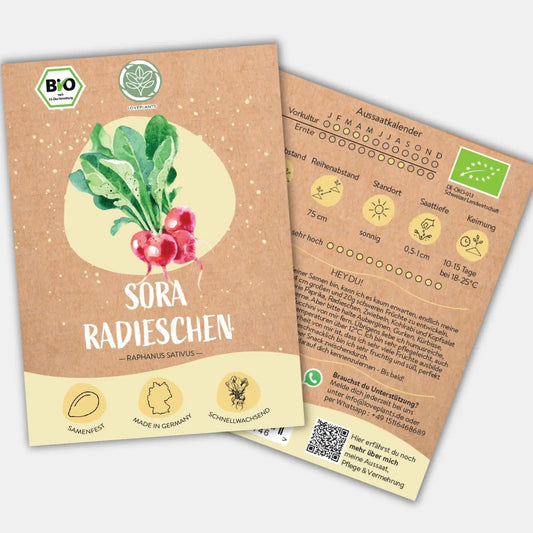 Bio Radieschen Samen