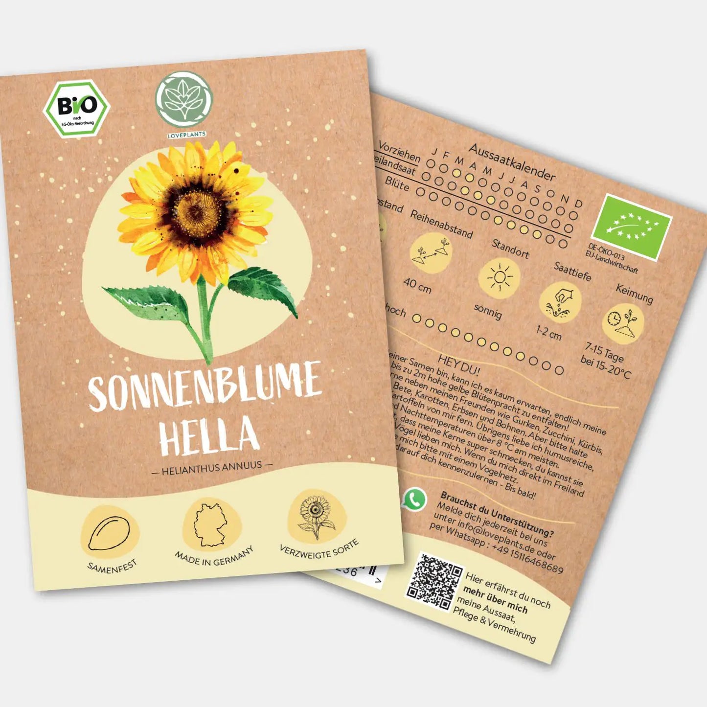 Bio Sonnenblume Hella Samen