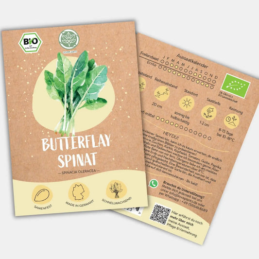 Bio Spinat Samen