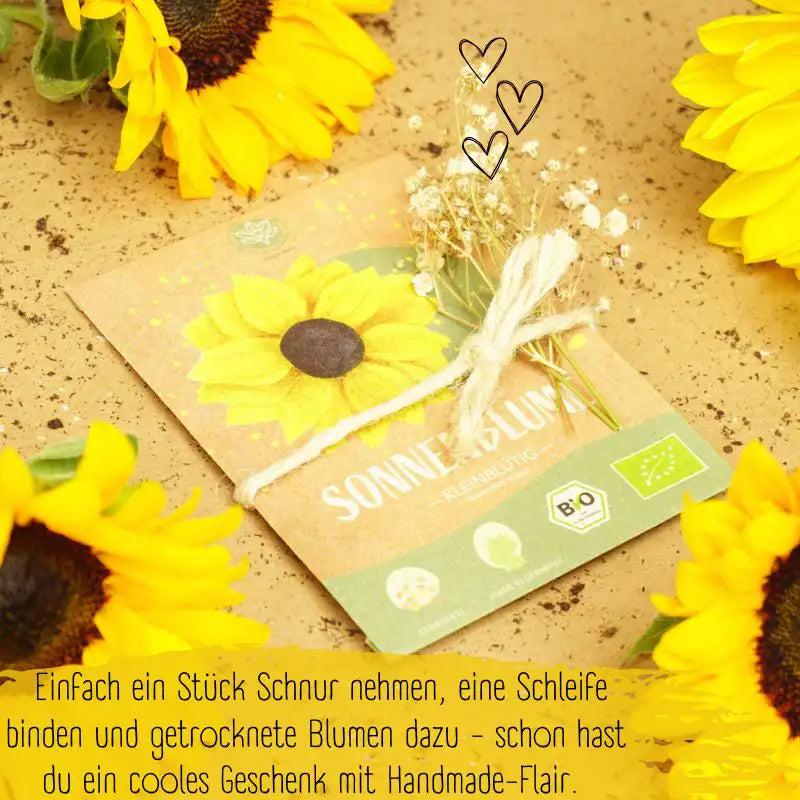 Bio kleinblütige Sonnenblumen Samen auch als Geschenk