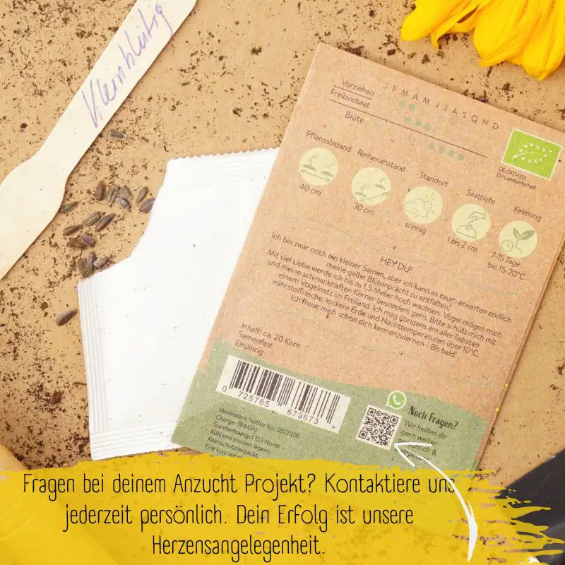 Bio kleinblütige Sonnenblumen Samen mit persönlichen Kontakt