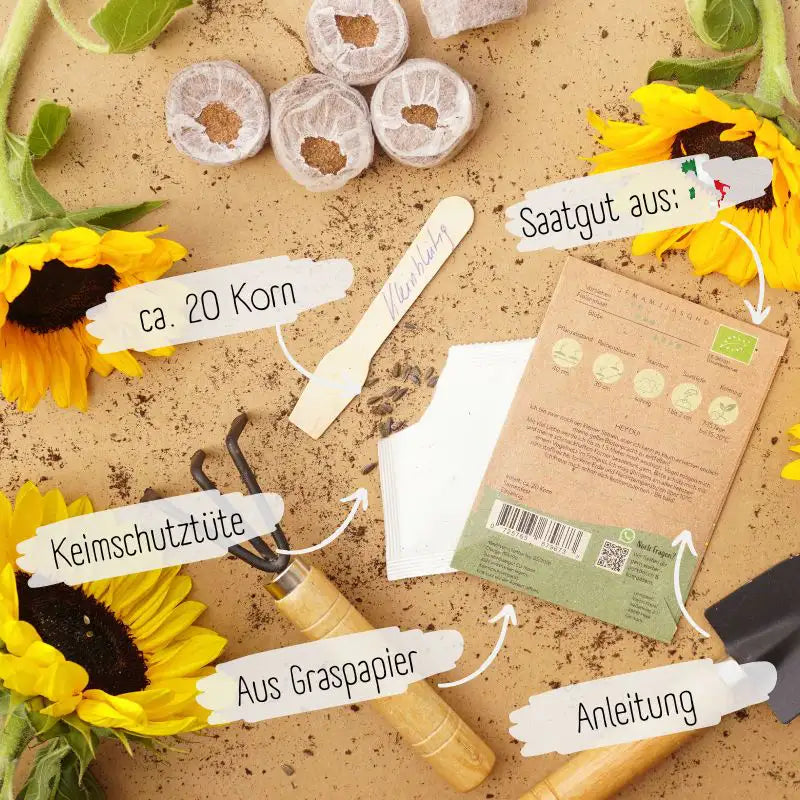 Bio kleinblütige Sonnenblumen Samen was unser Saatgut ausmacht