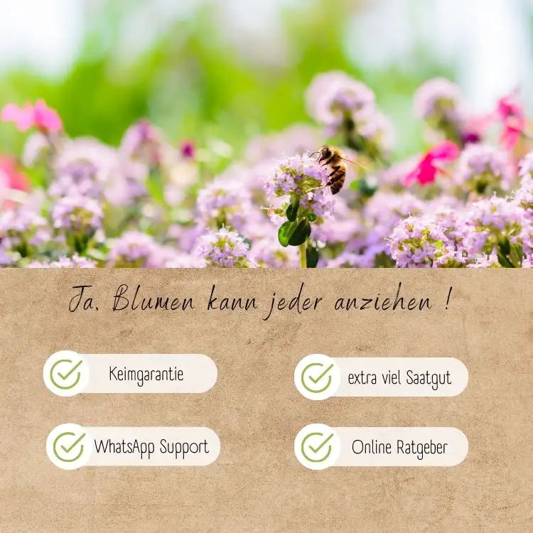 Blumen dank Loveplants leicht anziehen
