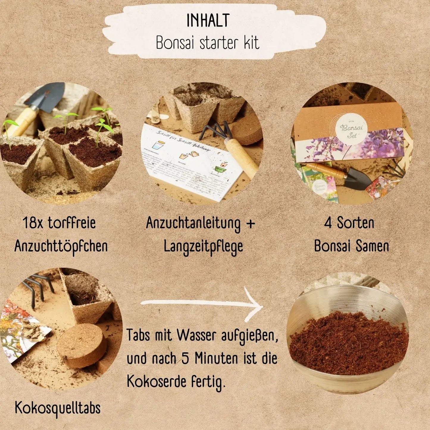 Bonsai Anzuchtset zum sofort loslegen