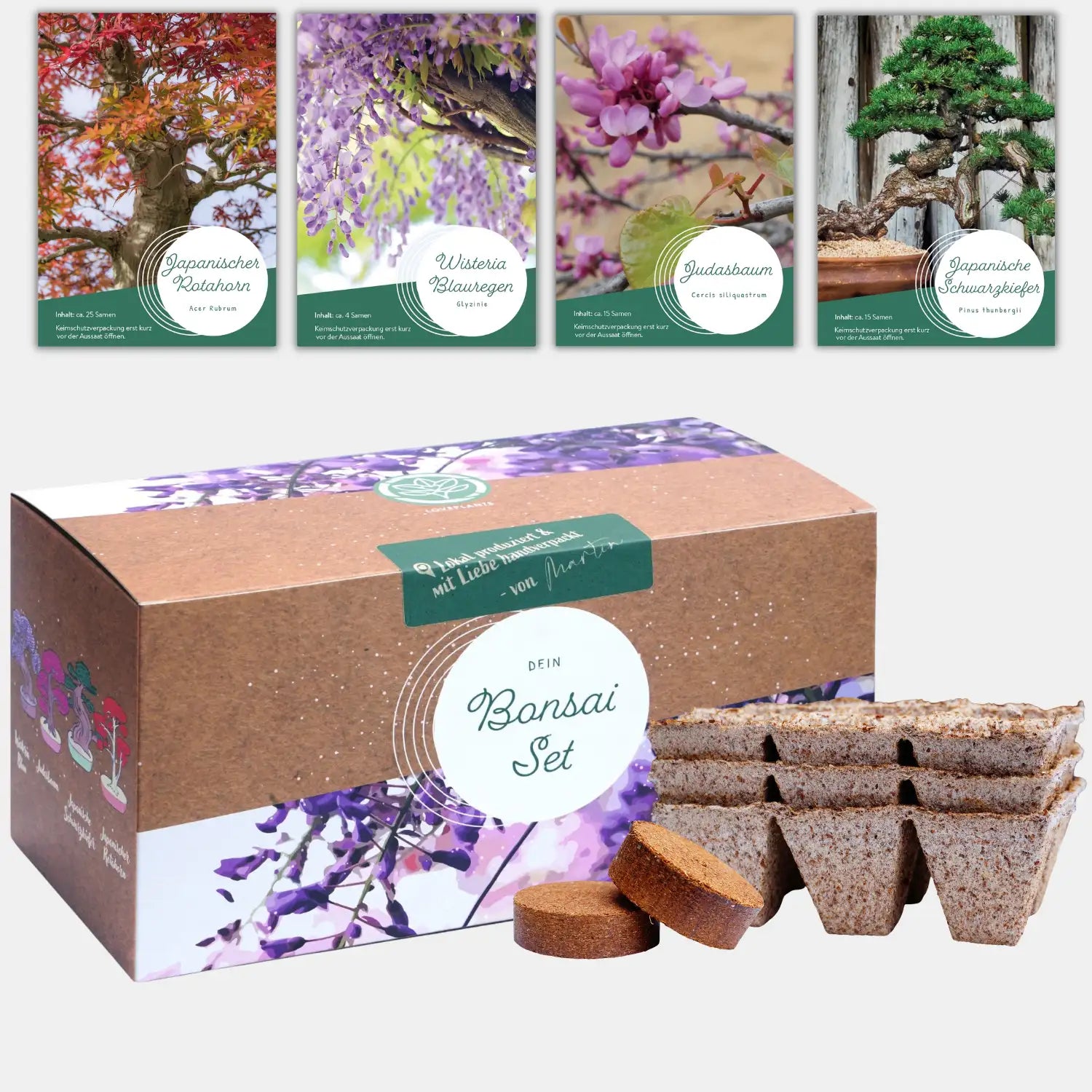 Bonsai Anzuchtset kaufen ➤ Handmade & Plastikfrei