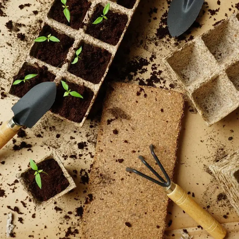 Dein individuelles Anzuchtset/Samen Set/Samentütchen.