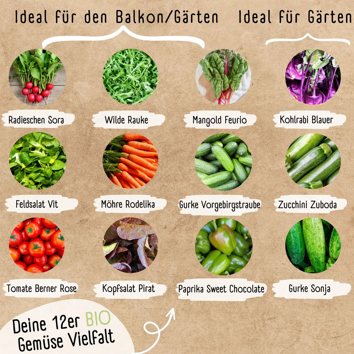 Gemüsesamen Set Vielfalt