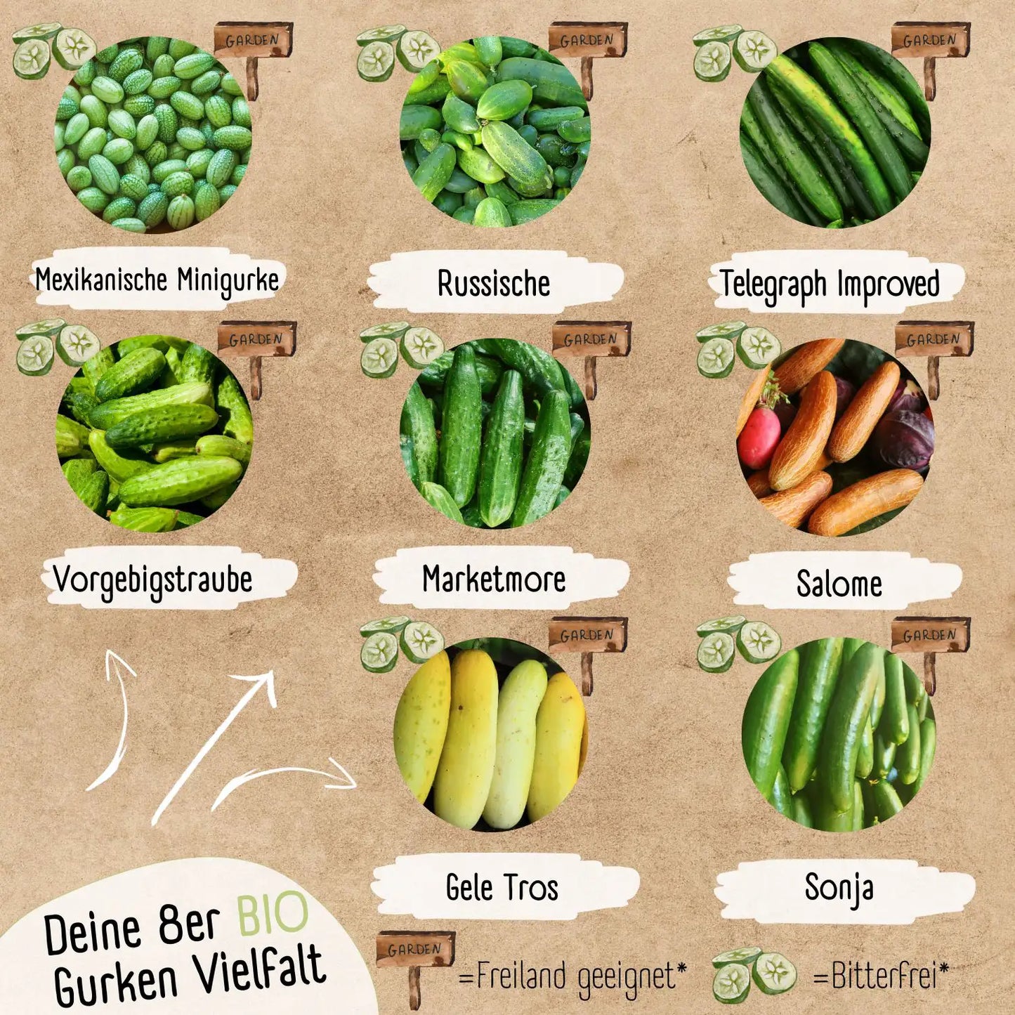 Gurken Vielfalt