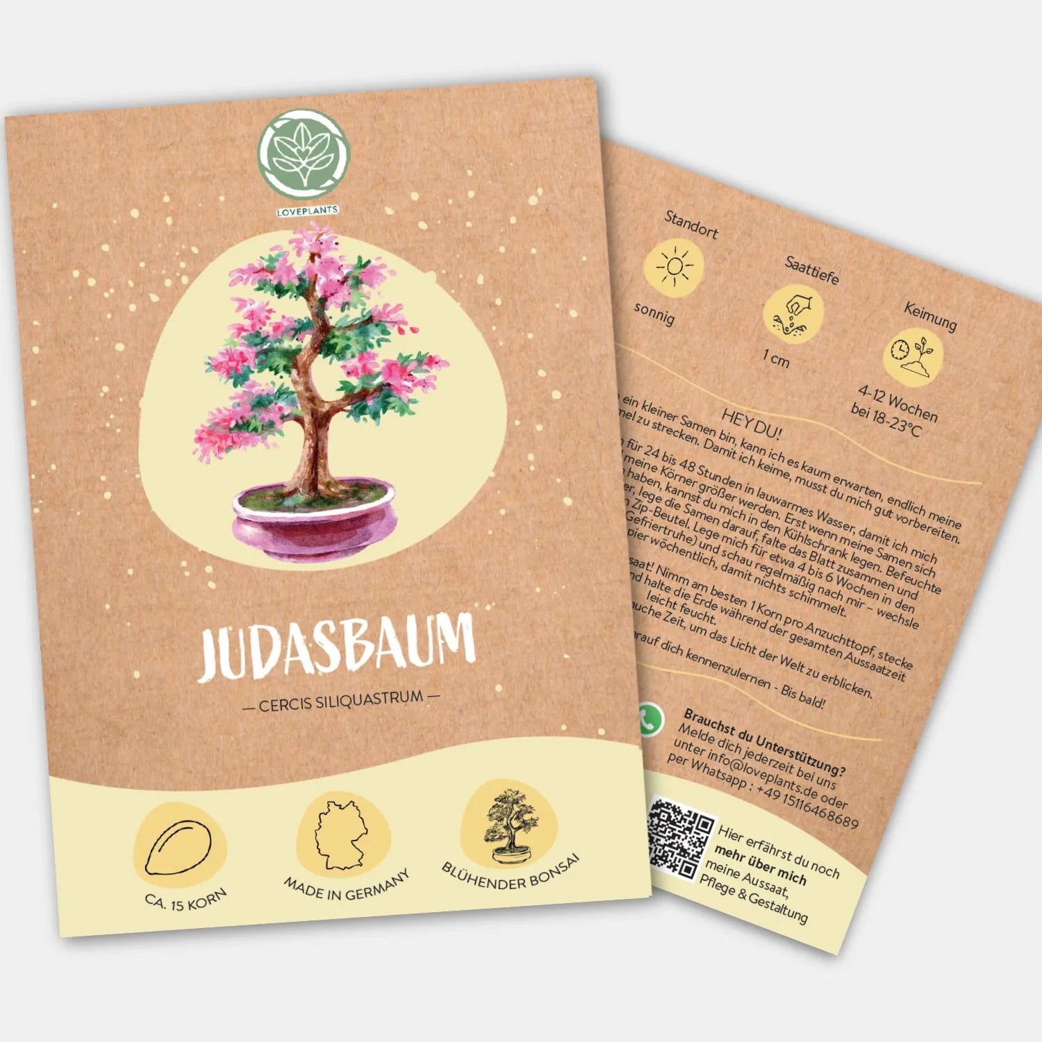 judas tree bonsai anzucht Judasbaum Samen kaufen ➤ Keimgarantie