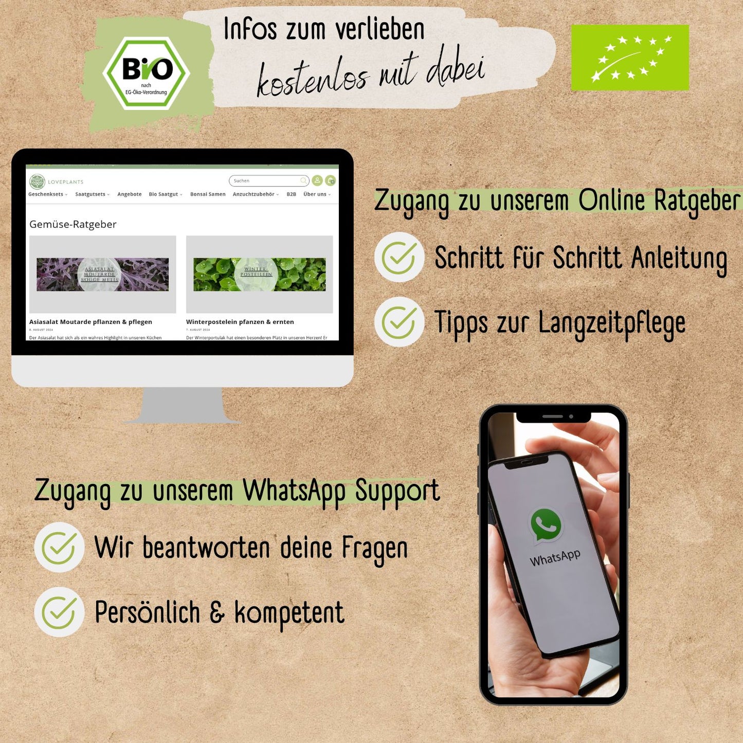 Bio Salatgurke Telegraph Improved Samen