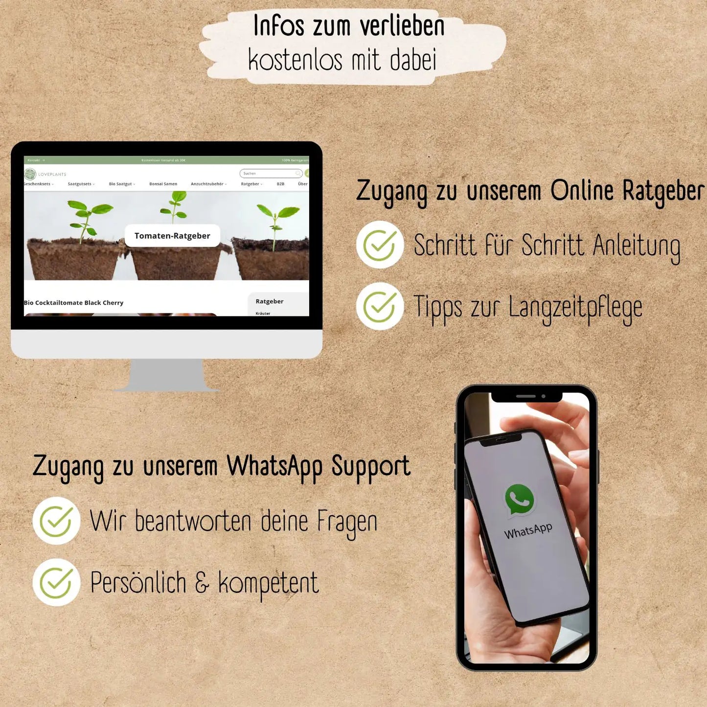 Tomaten dank Loveplants leicht anziehen