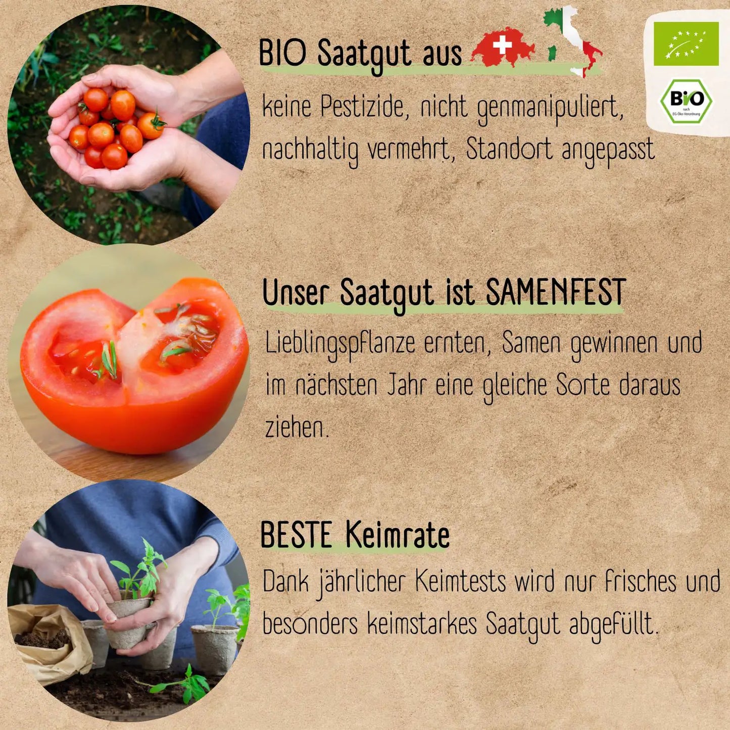Tomaten Starter Set