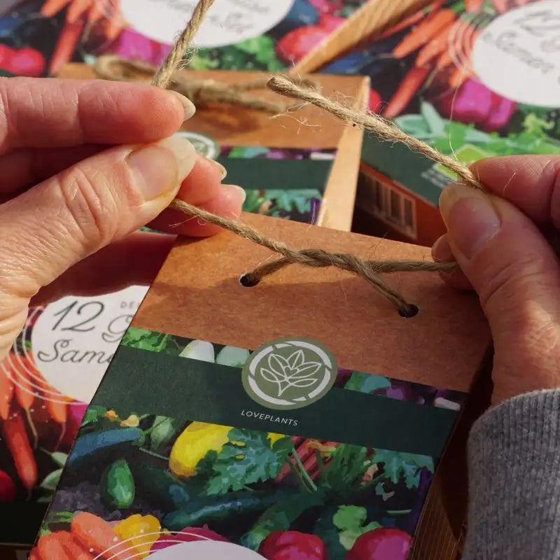 Unsere Sets & Samentütchen in größeren Auflagen