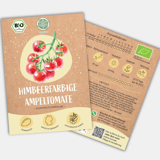 Bio Ampeltomate Himbeerfarbige Samen