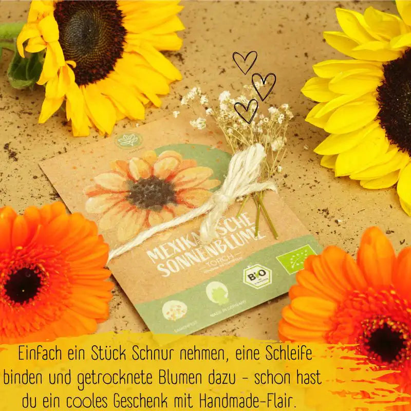 mexikanische sonnenblume samen auch als Gastgeschenk