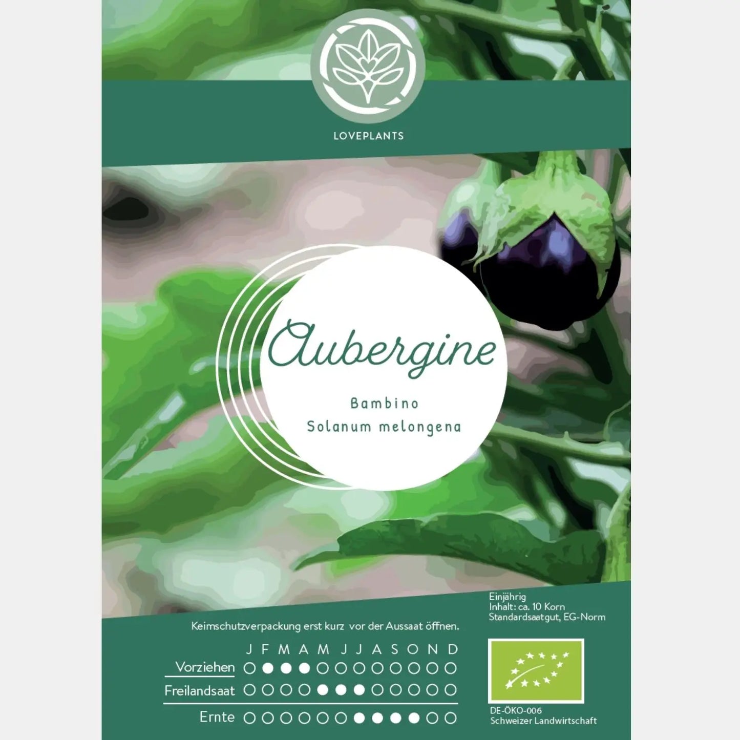 Bio-Aubergine-Bambino-Samen-kaufen