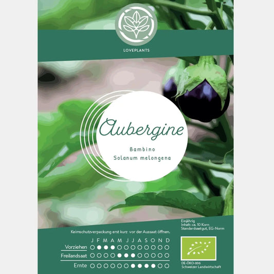 Bio-Aubergine-Bambino-Samen-kaufen