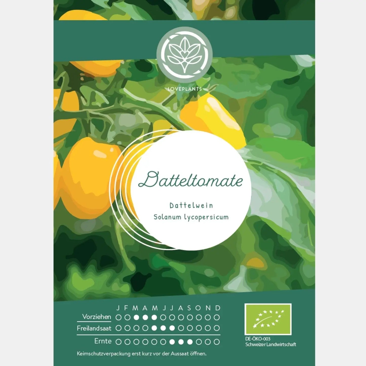 Bio-Datteltomate-Dattelwein-Samen-kaufen