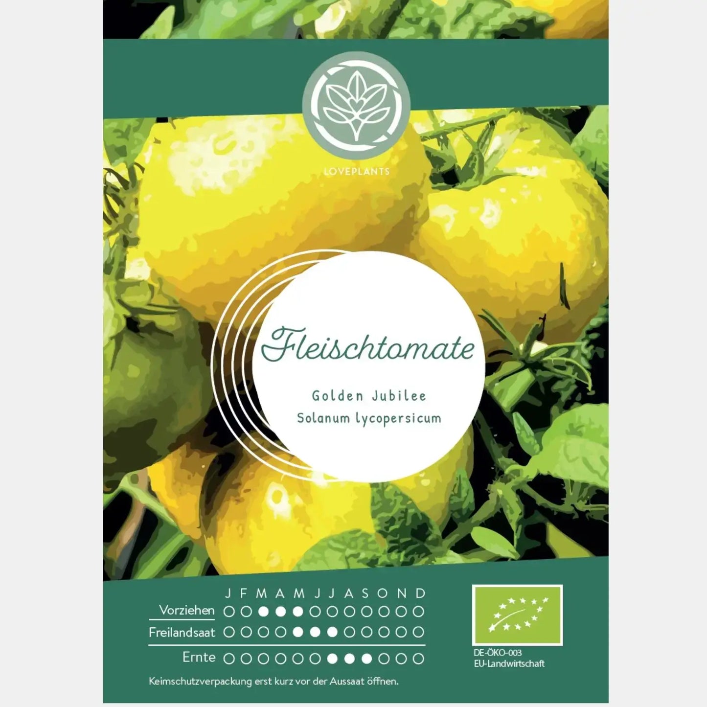 Bio-Fleischtomate-Golden-Jubilee-Samen-kaufen