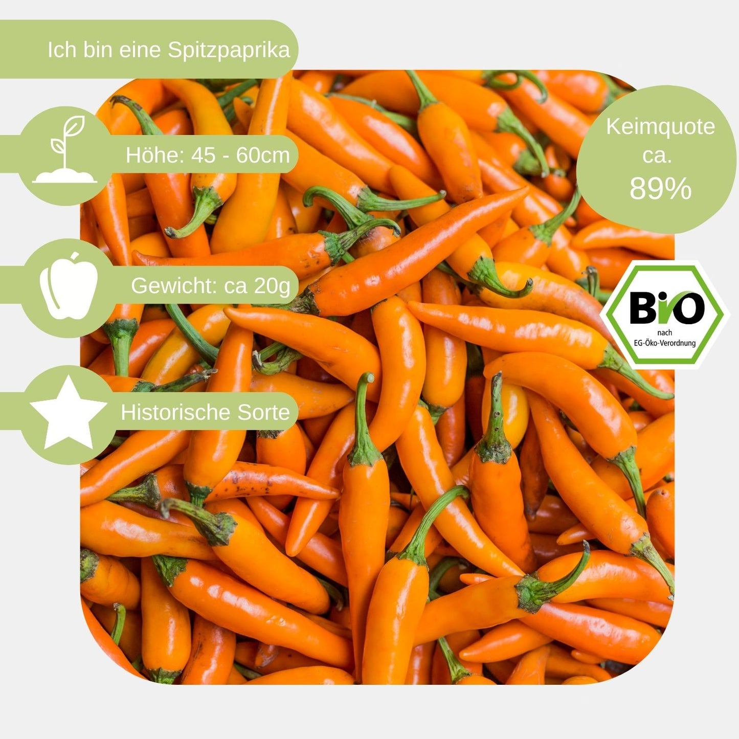 Bio-Paprika-Tequila-Sunrise-Samen-eigenschaften