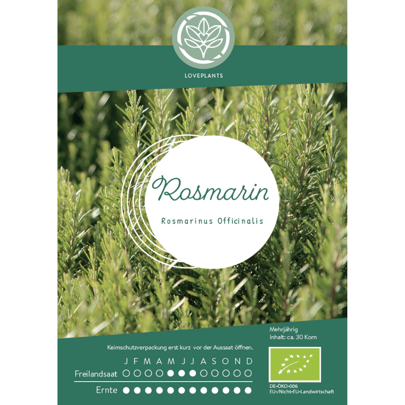 Bio Rosmarin Samen