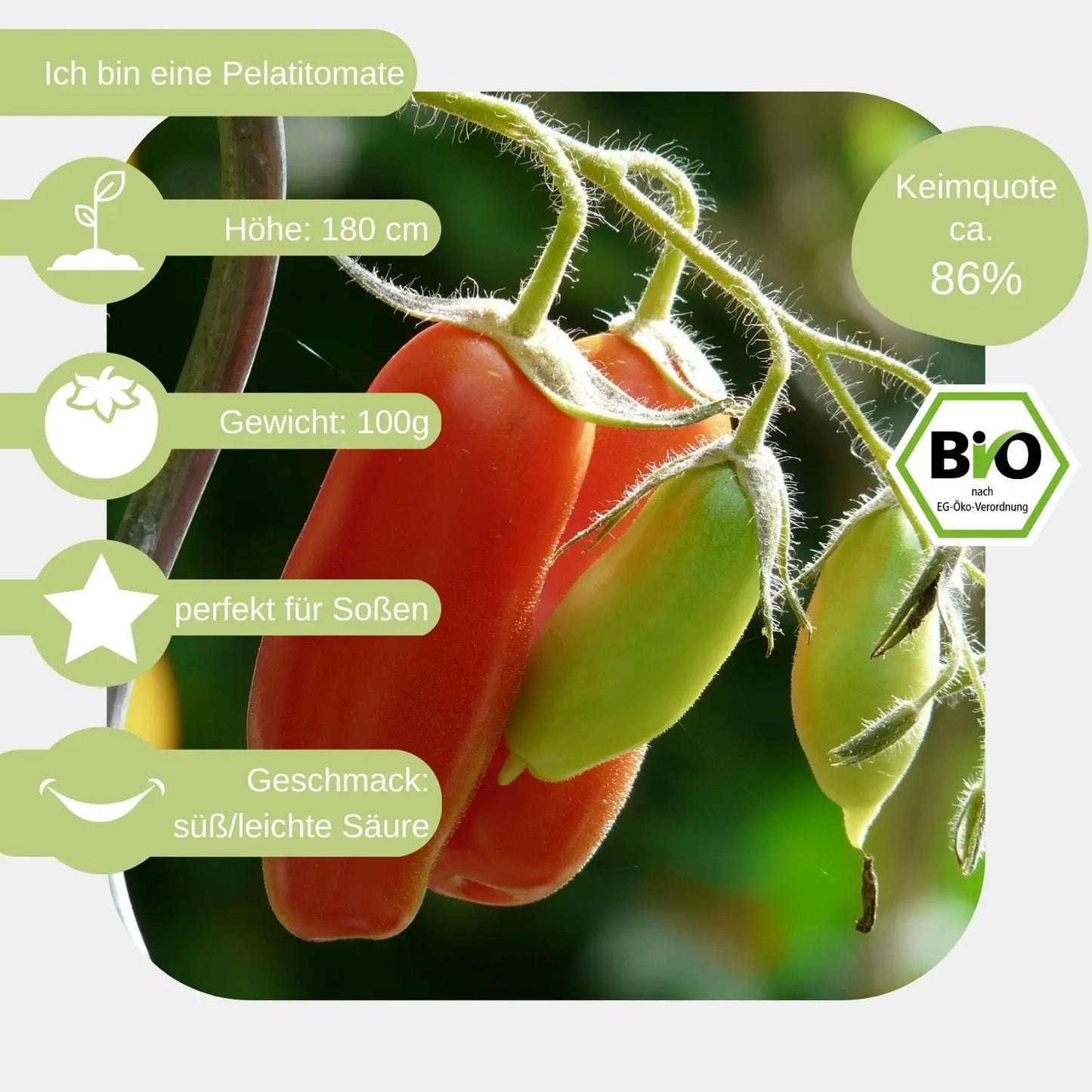 Bio-San-Marzano-2-Samen-eigenschaften