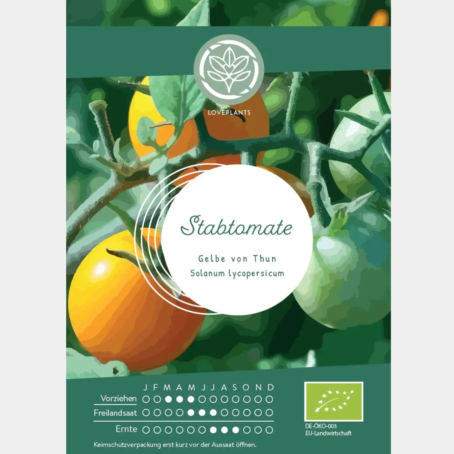 Bio-Stabtomate-Gelbe-von-Thun-Samen-kaufen