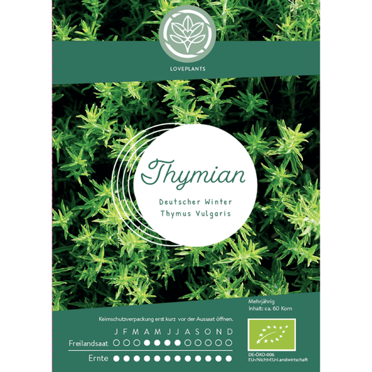 Bio Thymian Samen kaufen