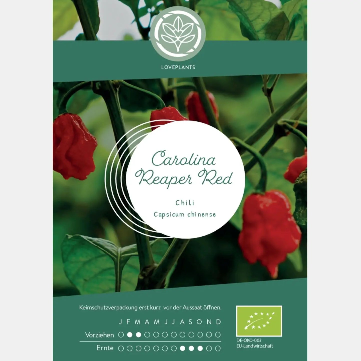 Bio Carolina Reaper samen kaufen