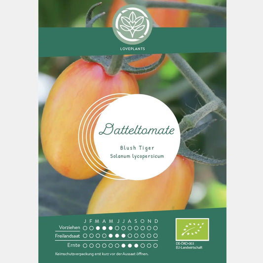 Bio Datteltomate Blush Tiger Samen