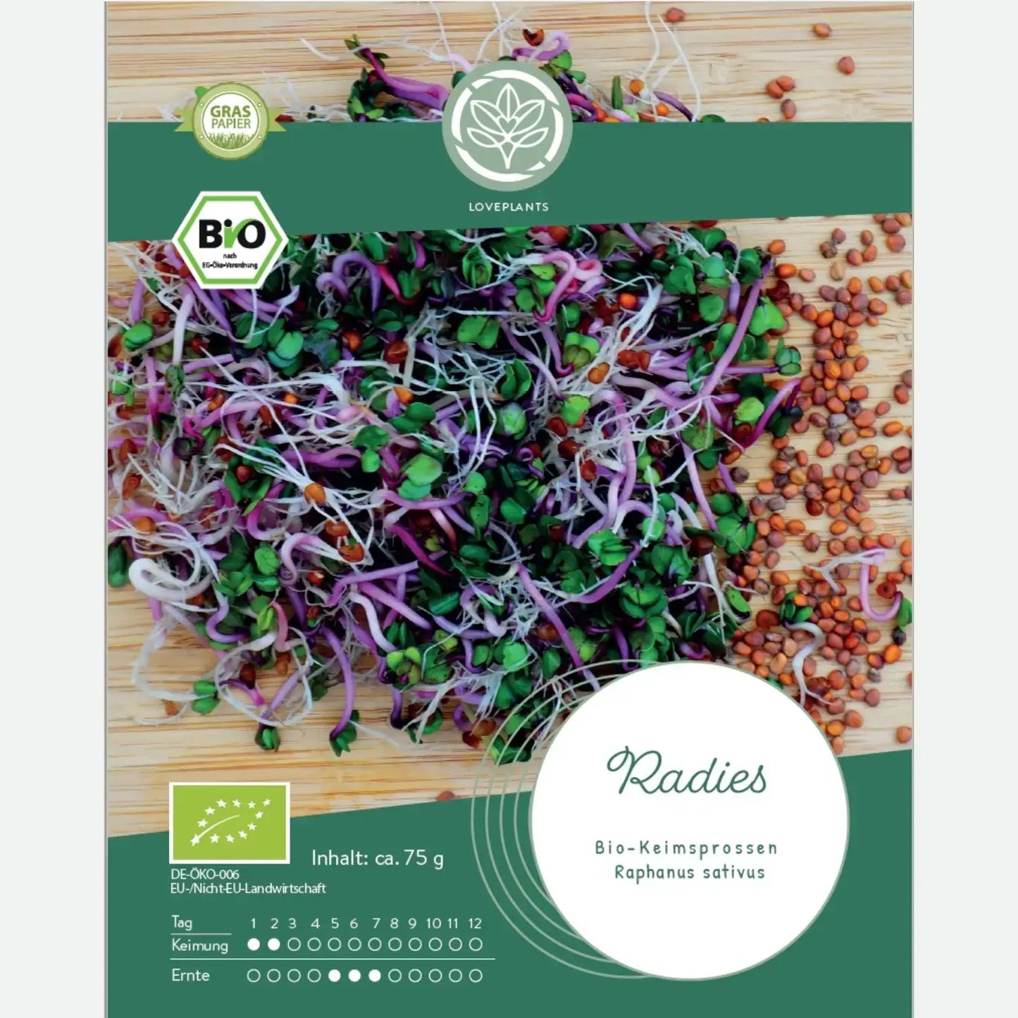 Bio Radieschen Sprossen Samen kaufen