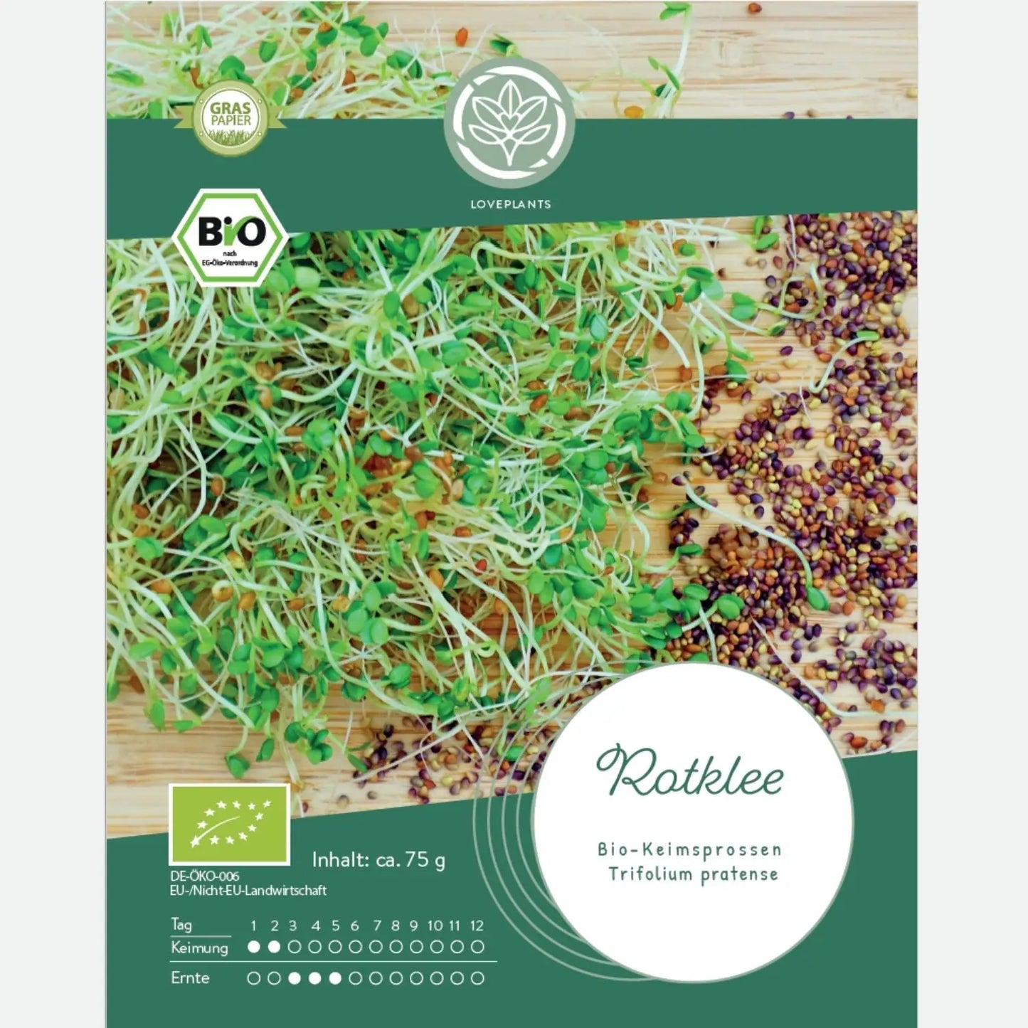 Bio Rotklee Sprossen Samen kaufen