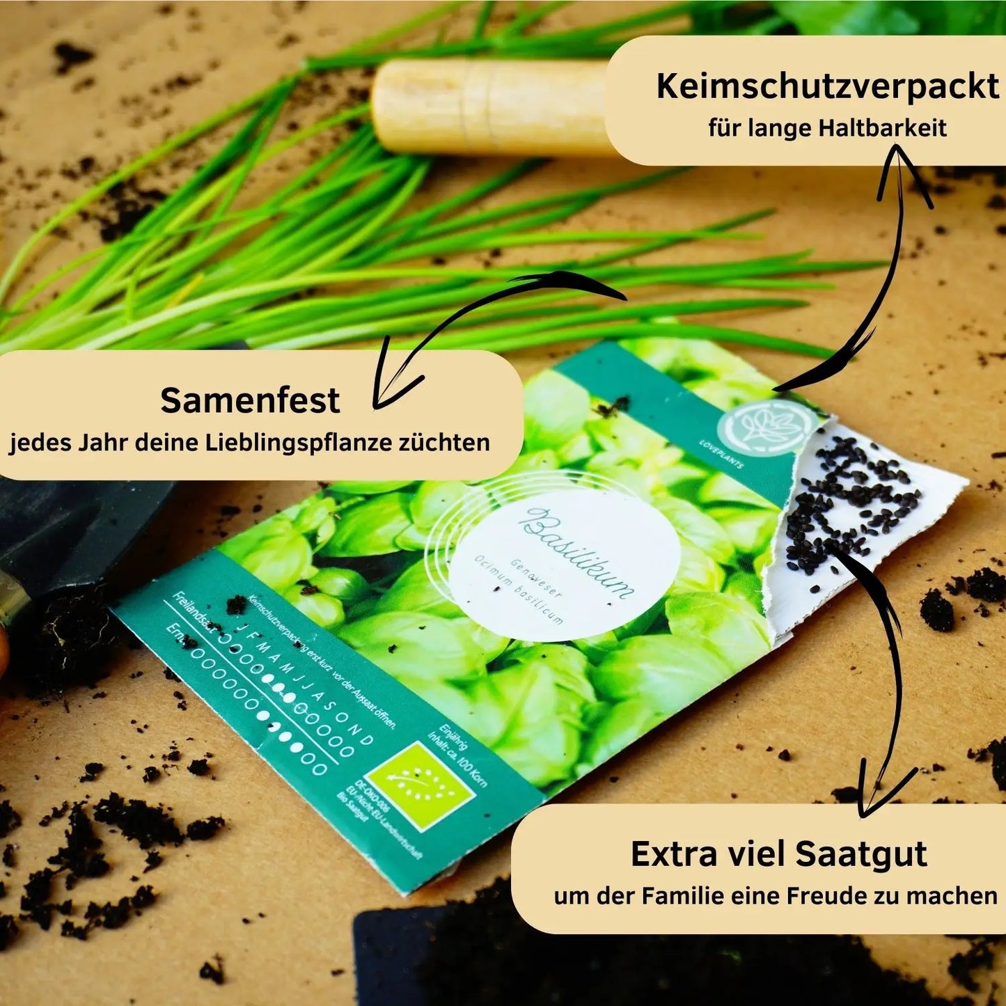 Bio Saatgut Adventskalender mit hoher Keimquote