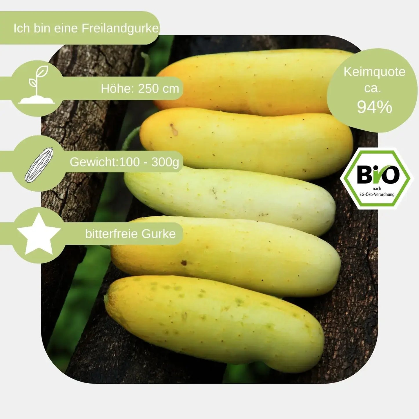 Bio Salatgurke Gele Tros Samen eigenschaften