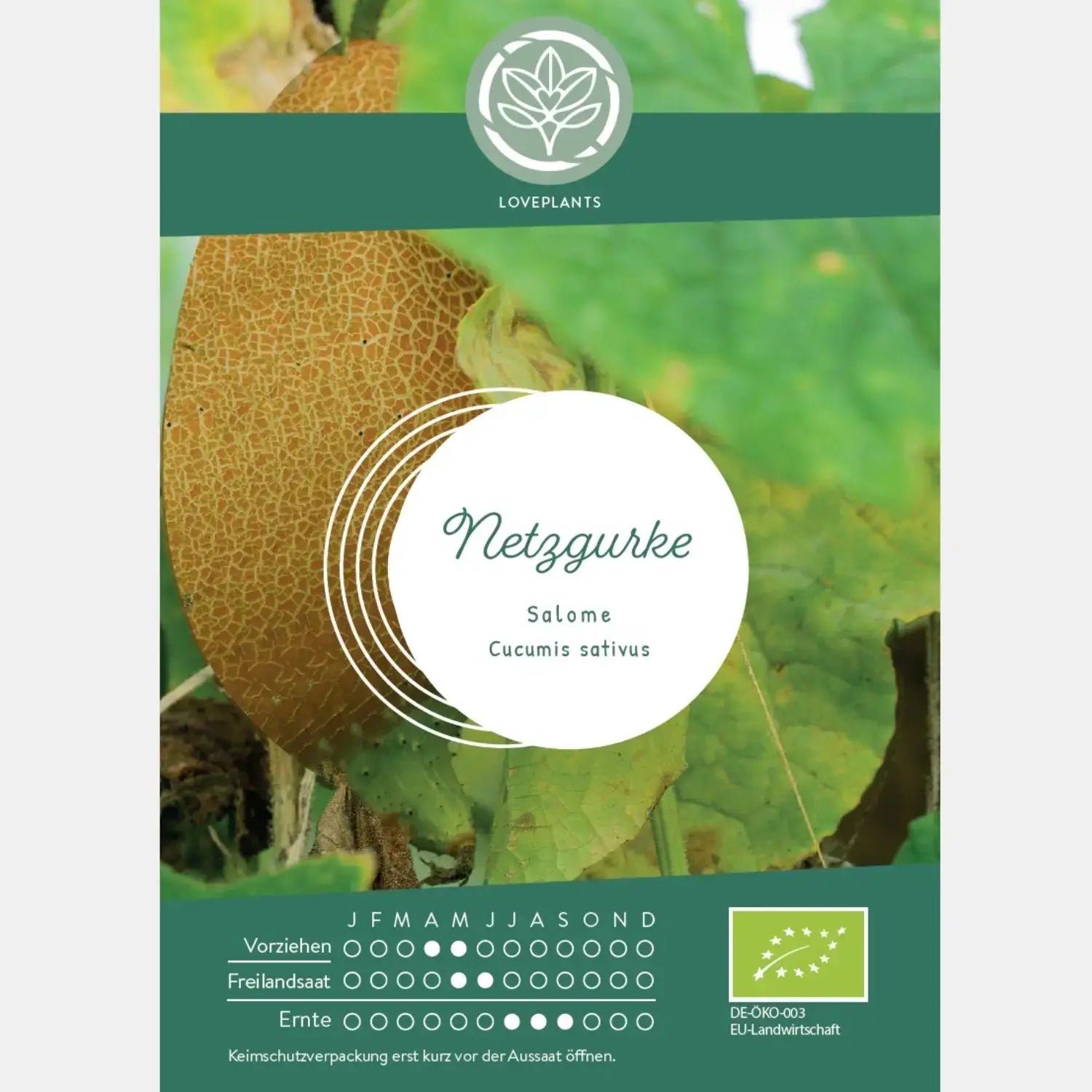 Bio Salatgurke Salome Samen kaufen