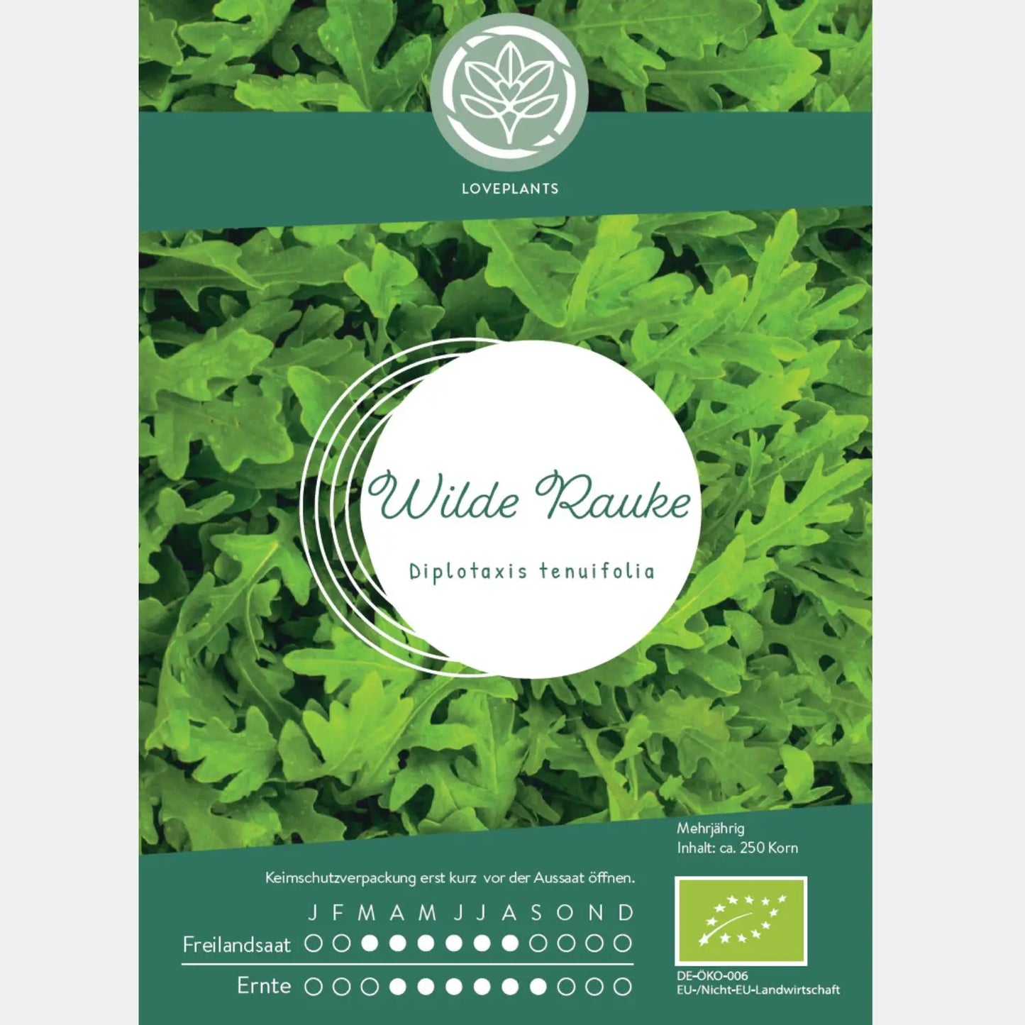 bio Wilde Rauke Samen kaufen