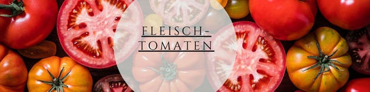 Fleischtomaten-Ratgeber