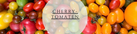 Cherrytomaten-Ratgeber