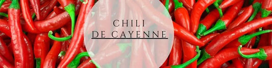 De Cayenne pflegen ernten