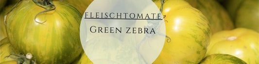 Bio Stabtomate Green Zebra
