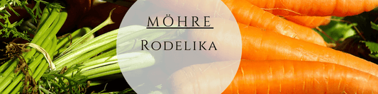 Bio Möhre Rodelika