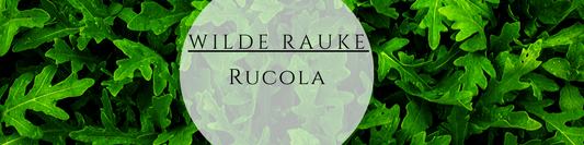 Bio Wilde Rauke