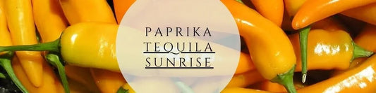 Paprika Tequila Sunrise pflegen & ernten