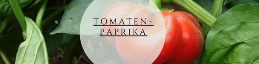 Paprika selber ziehen