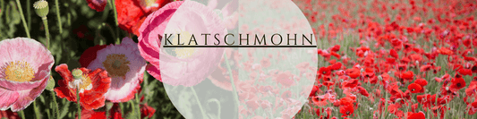 Klatschmohn anbauen