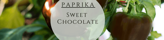 Bio Paprika Sweet Chocolate