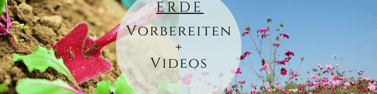 Erde vorbereiten