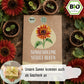 Bio Sonnenblume Velvet Queen Samen